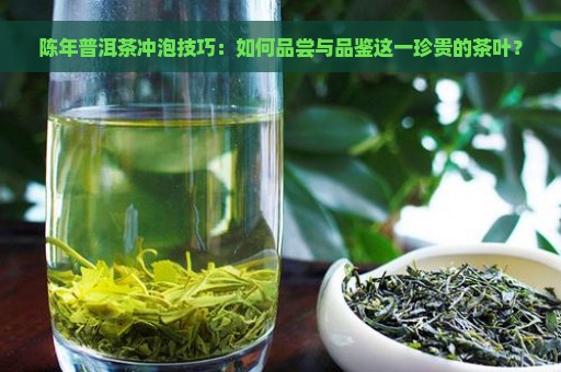 陈年普洱茶冲泡技巧：如何品尝与品鉴这一珍贵的茶叶？