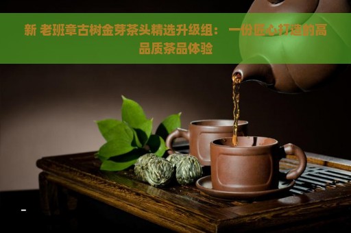 新 老班章古树金芽茶头精选升级组： 一份匠心打造的高品质茶品体验