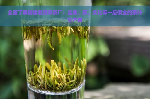 全面了解瑞建老班章茶厂：品质、历、文化等一应俱全的茶叶生产商