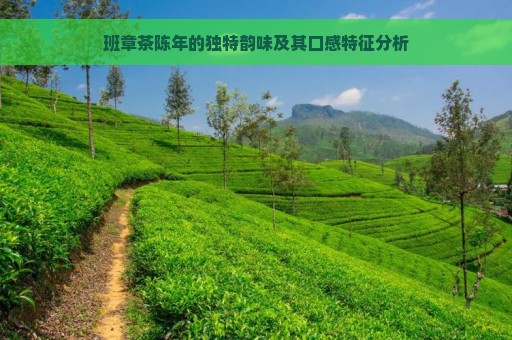 班章茶陈年的独特韵味及其口感特征分析