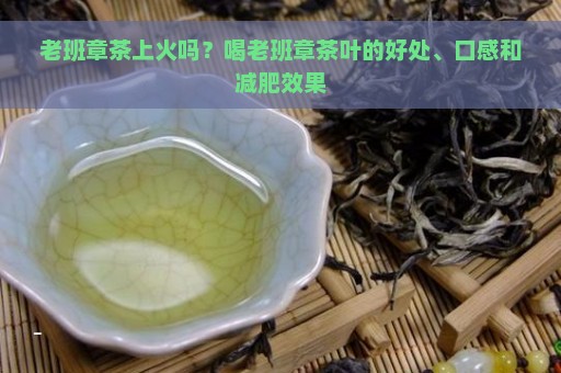 老班章茶上火吗？喝老班章茶叶的好处、口感和减肥效果