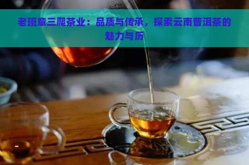 老班章三爬茶业：品质与传承，探索云南普洱茶的魅力与历