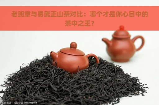 老班章与易武正山茶对比：哪个才是你心目中的茶中之王？