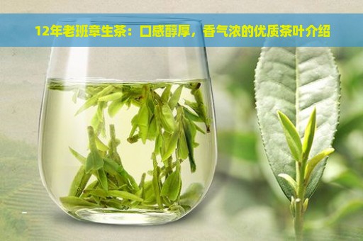 12年老班章生茶：口感醇厚，香气浓的优质茶叶介绍