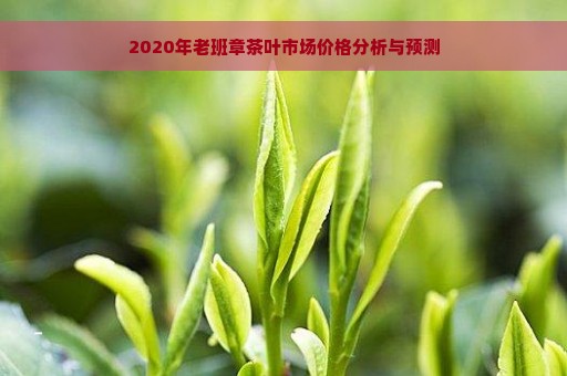 2020年老班章茶叶市场价格分析与预测