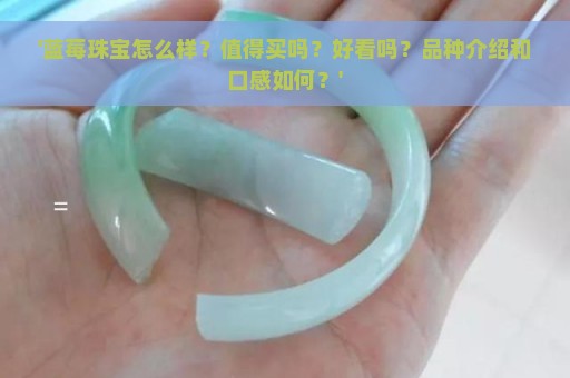 '蓝莓珠宝怎么样？值得买吗？好看吗？品种介绍和口感如何？'