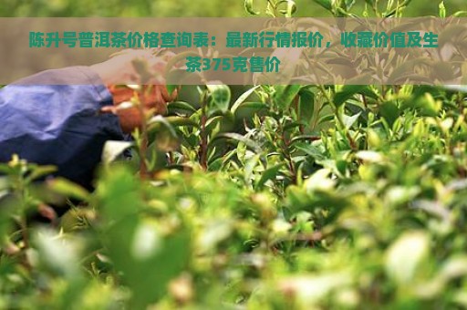 陈升号普洱茶价格查询表：最新行情报价，收藏价值及生茶375克售价