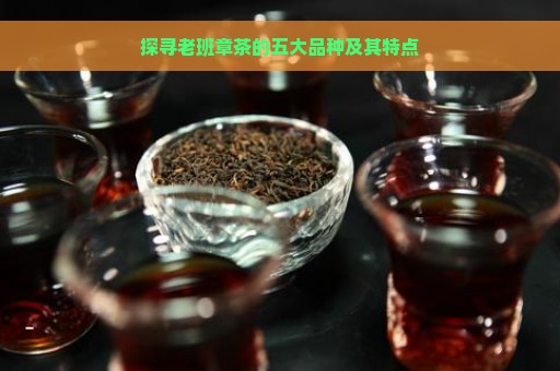 探寻老班章茶的五大品种及其特点