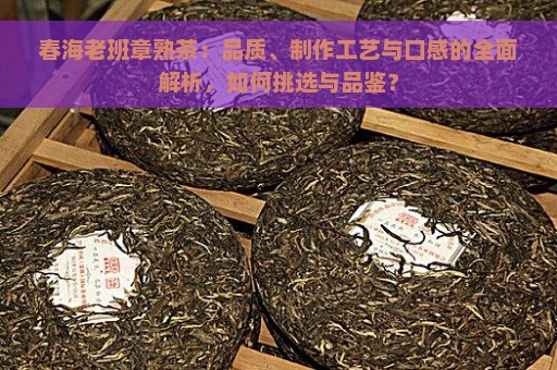 春海老班章熟茶：品质、制作工艺与口感的全面解析，如何挑选与品鉴？