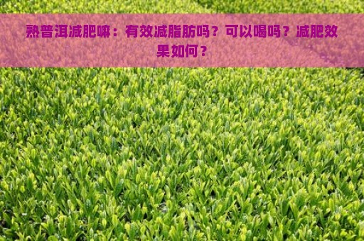 熟普洱减肥嘛：有效减脂肪吗？可以喝吗？减肥效果如何？