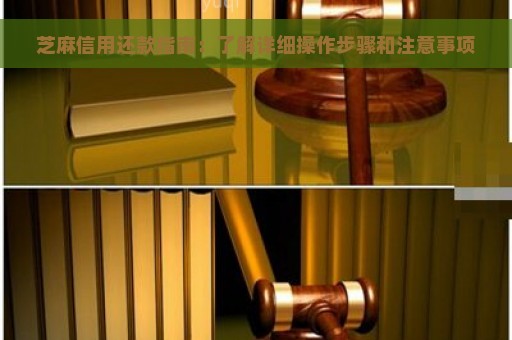 芝麻信用还款指南：了解详细操作步骤和注意事项