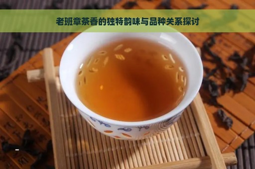 老班章茶香的独特韵味与品种关系探讨