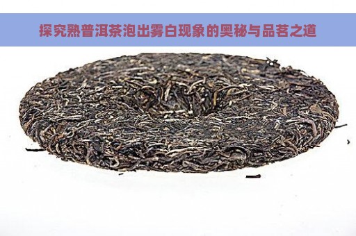 探究熟普洱茶泡出雾白现象的奥秘与品茗之道