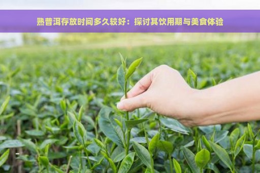 熟普洱存放时间多久较好：探讨其饮用期与美食体验