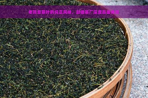 老班章茶叶的纯正风味，勐傣茶厂深度品鉴体验