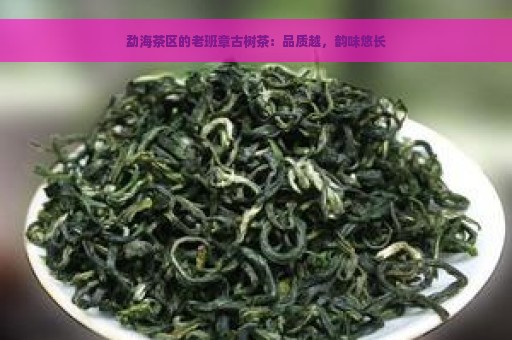 勐海茶区的老班章古树茶：品质越，韵味悠长