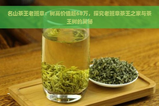 名山茶王老班章：树高价值超68万，探究老班章茶王之家与茶王树的奥秘