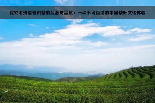 探究老班章普洱茶的起源与品质：一种不可错过的中国茶叶文化体验