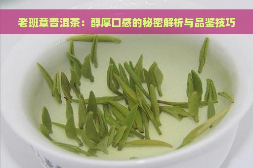 老班章普洱茶：醇厚口感的秘密解析与品鉴技巧