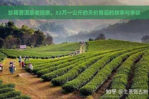 珍稀普洱茶老班章，32万一公斤的天价背后的故事与争议