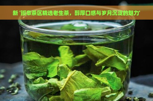 新 '班章茶区精选老生茶，醇厚口感与岁月沉淀的魅力'