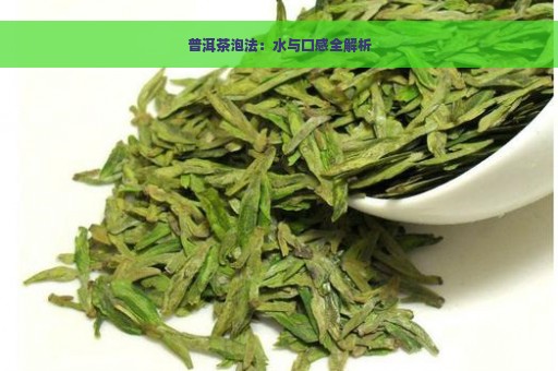 普洱茶泡法：水与口感全解析