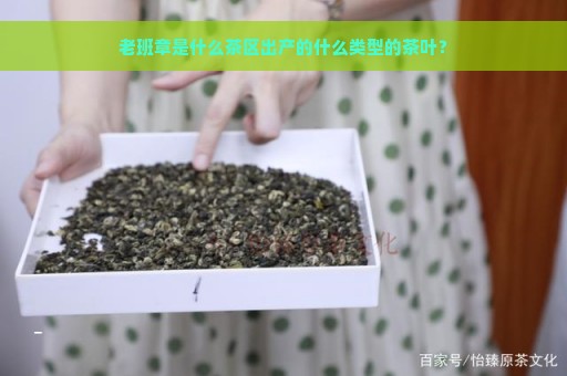 老班章是什么茶区出产的什么类型的茶叶？