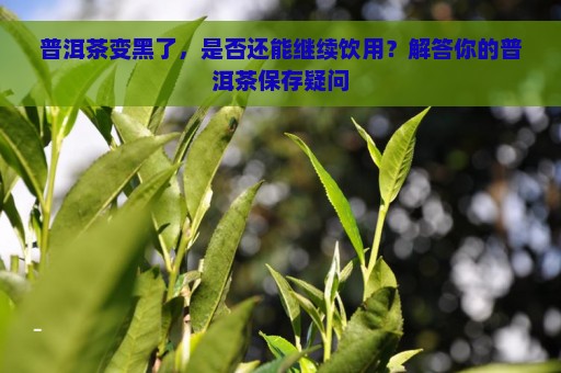 普洱茶变黑了，是否还能继续饮用？解答你的普洱茶保存疑问