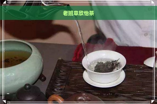 老班章欣怡茶