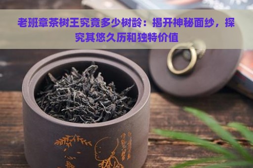 老班章茶树王究竟多少树龄：揭开神秘面纱，探究其悠久历和独特价值