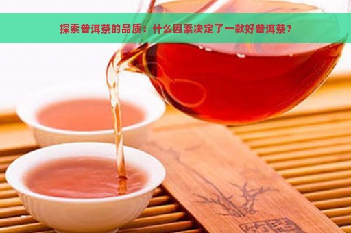 探索普洱茶的品质：什么因素决定了一款好普洱茶？