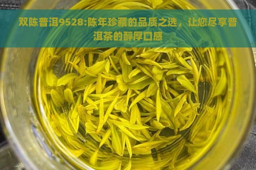 双陈普洱9528:陈年珍藏的品质之选，让您尽享普洱茶的醇厚口感