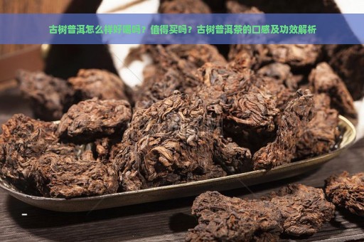 古树普洱怎么样好喝吗？值得买吗？古树普洱茶的口感及功效解析