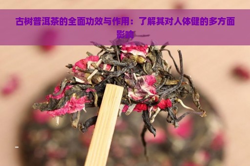 古树普洱茶的全面功效与作用：了解其对人体健的多方面影响