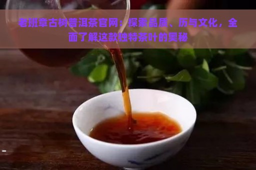 老班章古树普洱茶官网：探索品质、历与文化，全面了解这款独特茶叶的奥秘