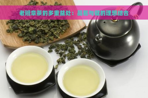 老班章茶的多重益处：品茗与健的理想结合