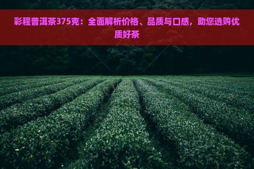 彩程普洱茶375克：全面解析价格、品质与口感，助您选购优质好茶