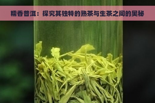 糯香普洱：探究其独特的熟茶与生茶之间的奥秘