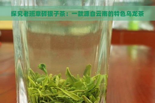 探究老班章碎银子茶：一款源自云南的特色乌龙茶