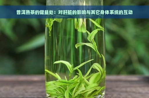 普洱熟茶的健益处：对肝脏的影响与其它身体系统的互动