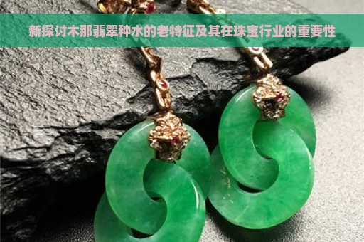 新探讨木那翡翠种水的老特征及其在珠宝行业的重要性