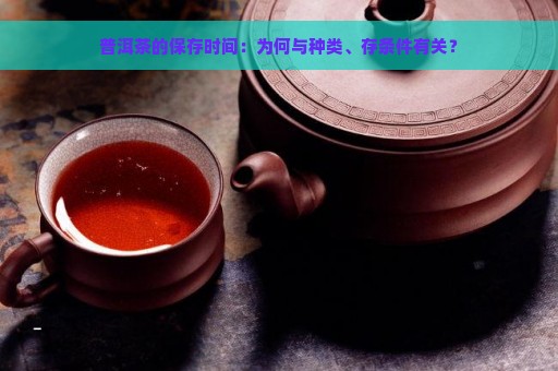 普洱茶的保存时间：为何与种类、存条件有关？