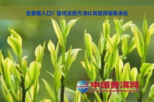 生普难入口？尝试这些方法让其变得容易消化