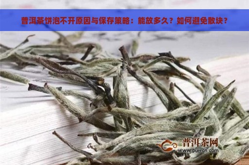 普洱茶饼泡不开原因与保存策略：能放多久？如何避免散块？