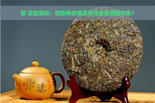 新 深度解析：哪些种类普洱茶具备最强回效果？