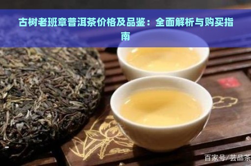 古树老班章普洱茶价格及品鉴：全面解析与购买指南