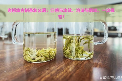 老班章古树茶怎么喝：口感与功效，泡法与影响，一次解答！