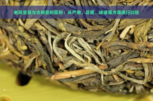 老班章茶与古树茶的区别：从产地、品质、味道等方面进行比较