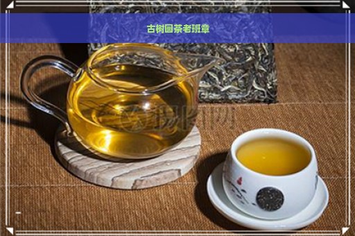 古树圆茶老班章