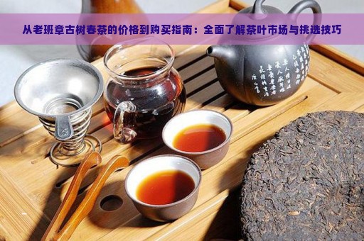 从老班章古树春茶的价格到购买指南：全面了解茶叶市场与挑选技巧